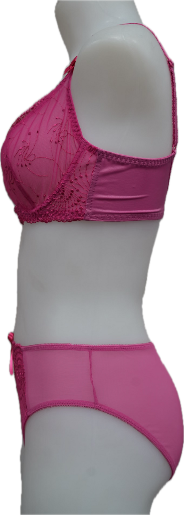 Nicole See-Thru Lace **SAMPLES**