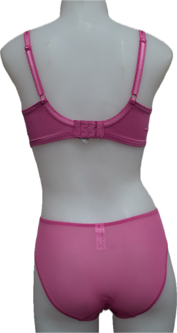 Nicole See-Thru Lace **SAMPLES**