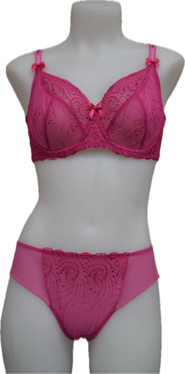 Nicole See-Thru Lace **SAMPLES**