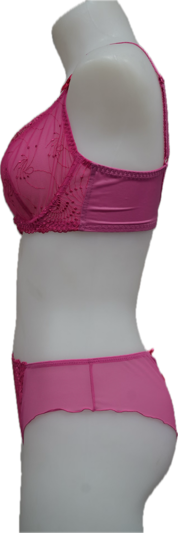 Nicole See-Thru Lace **SAMPLES**