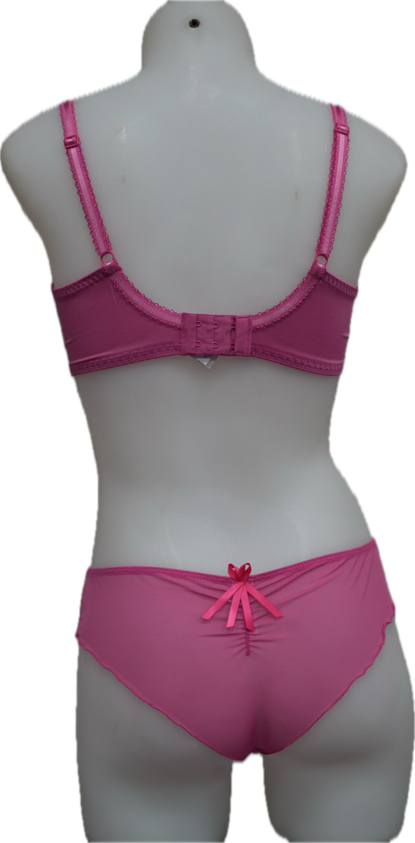 Nicole See-Thru Lace **SAMPLES**