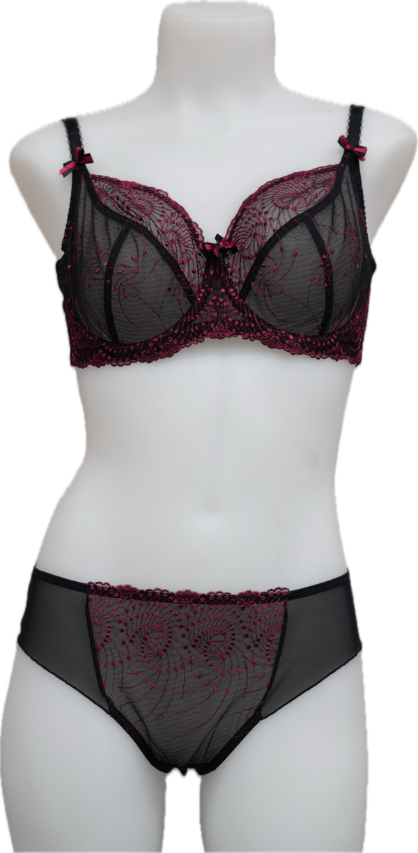 Nicole See-Thru Lace **SAMPLES**