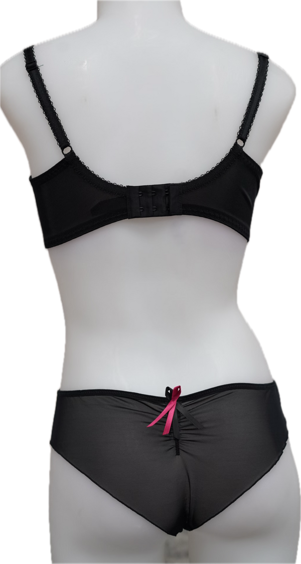 Nicole See-Thru Lace **SAMPLES**