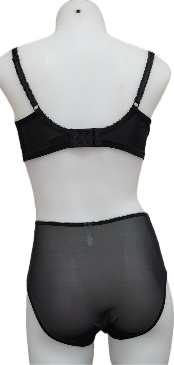 Nicole See-Thru Lace **SAMPLES**