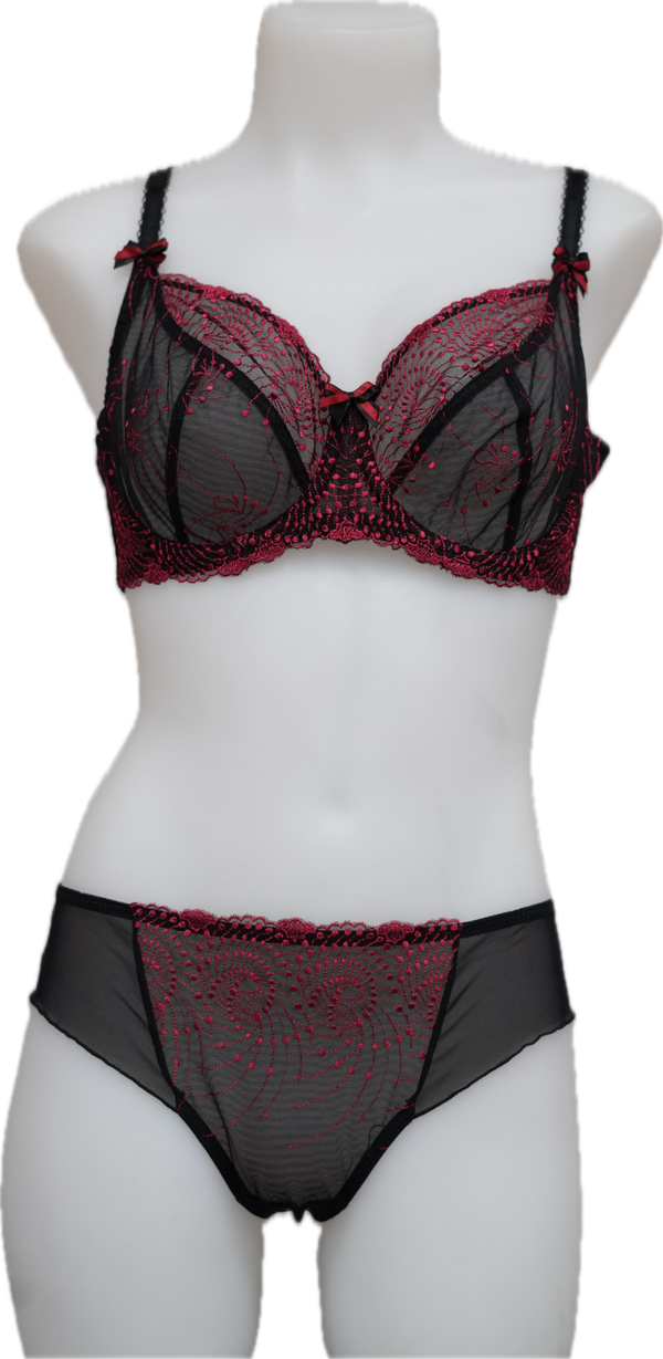 Nicole See-Thru Lace **SAMPLES**