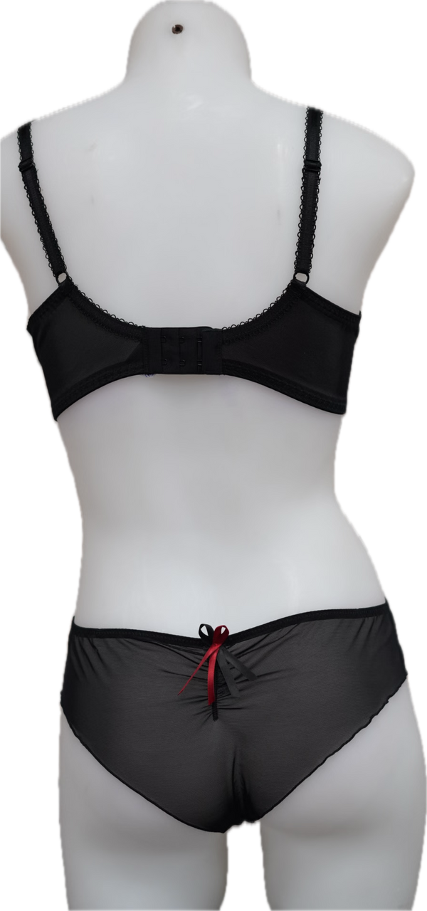 Nicole See-Thru Lace **SAMPLES**