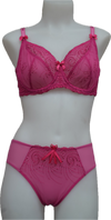 Nicole See-Thru Lace **SAMPLES**