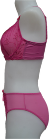 Nicole See-Thru Lace **SAMPLES**