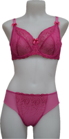 Nicole See-Thru Lace **SAMPLES**
