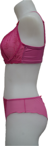 Nicole See-Thru Lace **SAMPLES**