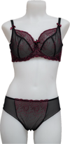 Nicole See-Thru Lace **SAMPLES**