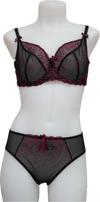 Nicole See-Thru Lace **SAMPLES**