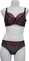 Nicole See-Thru Lace **SAMPLES**