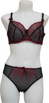Nicole See-Thru Lace **SAMPLES**