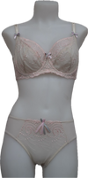 Nicole See-Thru Lace **SAMPLES**