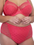 U2493 Carmen High Rise Brief: TEABERRY